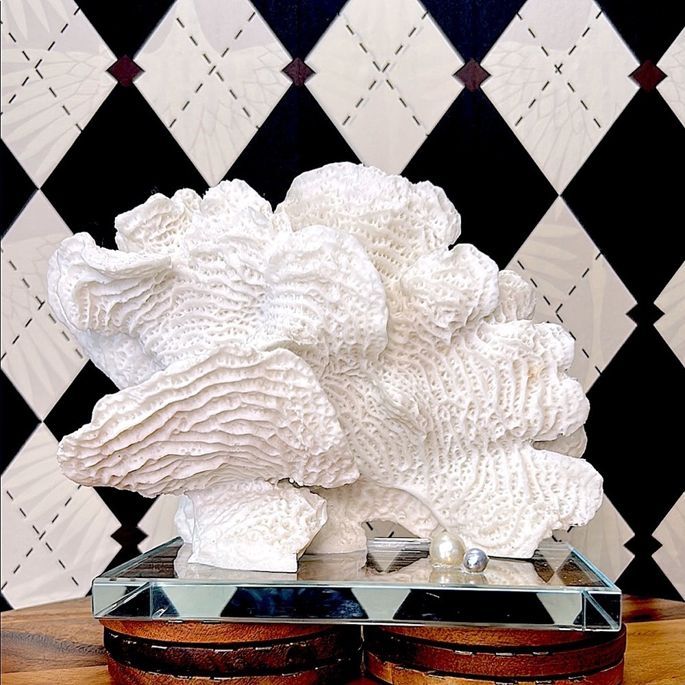 Elegant White Coral Sculpture on Glass Base – With Pearl Accents